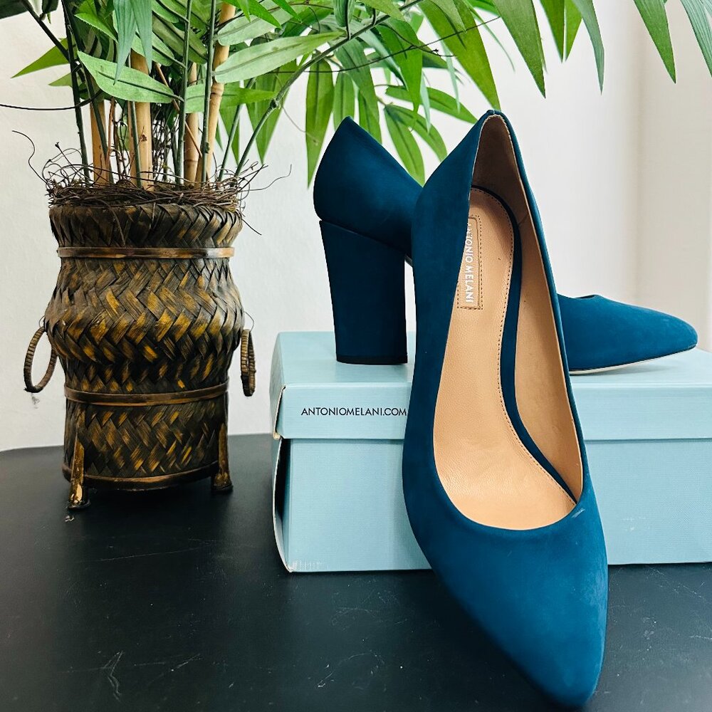 Suede Antonio Melani Pumps